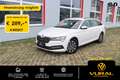 Skoda Superb 2.0TDI DSG Combi | NAVI | 1.BESITZER | LED | Weiß - thumbnail 1