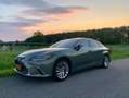 Lexus ES 300 300h President Line Vert - thumbnail 6