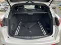 Alfa Romeo Stelvio 2.9 Bi-Turbo V6 510 CV AT8 Quadrifoglio Bianco - thumbnail 9