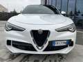 Alfa Romeo Stelvio 2.9 Bi-Turbo V6 510 CV AT8 Quadrifoglio Bianco - thumbnail 2