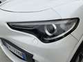 Alfa Romeo Stelvio 2.9 Bi-Turbo V6 510 CV AT8 Quadrifoglio Bianco - thumbnail 4