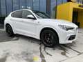 Alfa Romeo Stelvio 2.9 Bi-Turbo V6 510 CV AT8 Quadrifoglio Bianco - thumbnail 1