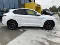 Alfa Romeo Stelvio 2.9 Bi-Turbo V6 510 CV AT8 Quadrifoglio Bianco - thumbnail 5