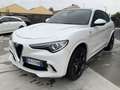 Alfa Romeo Stelvio 2.9 Bi-Turbo V6 510 CV AT8 Quadrifoglio Bianco - thumbnail 3