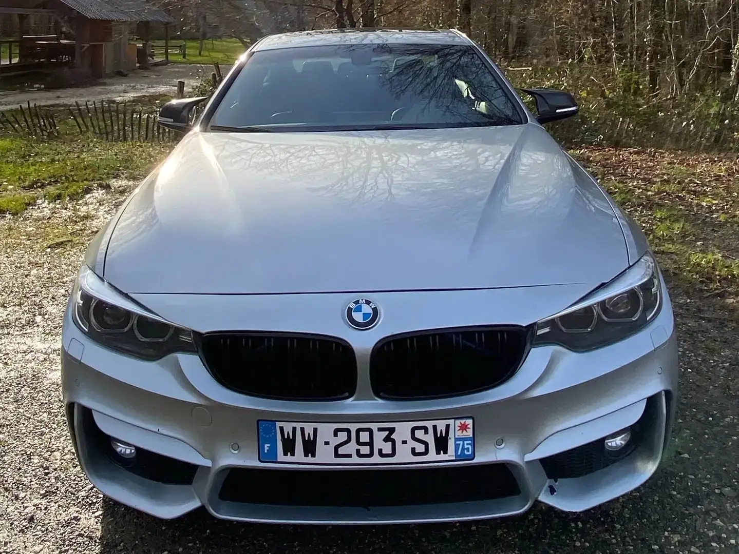 BMW 420 420dA Coupé Stříbrná - 2