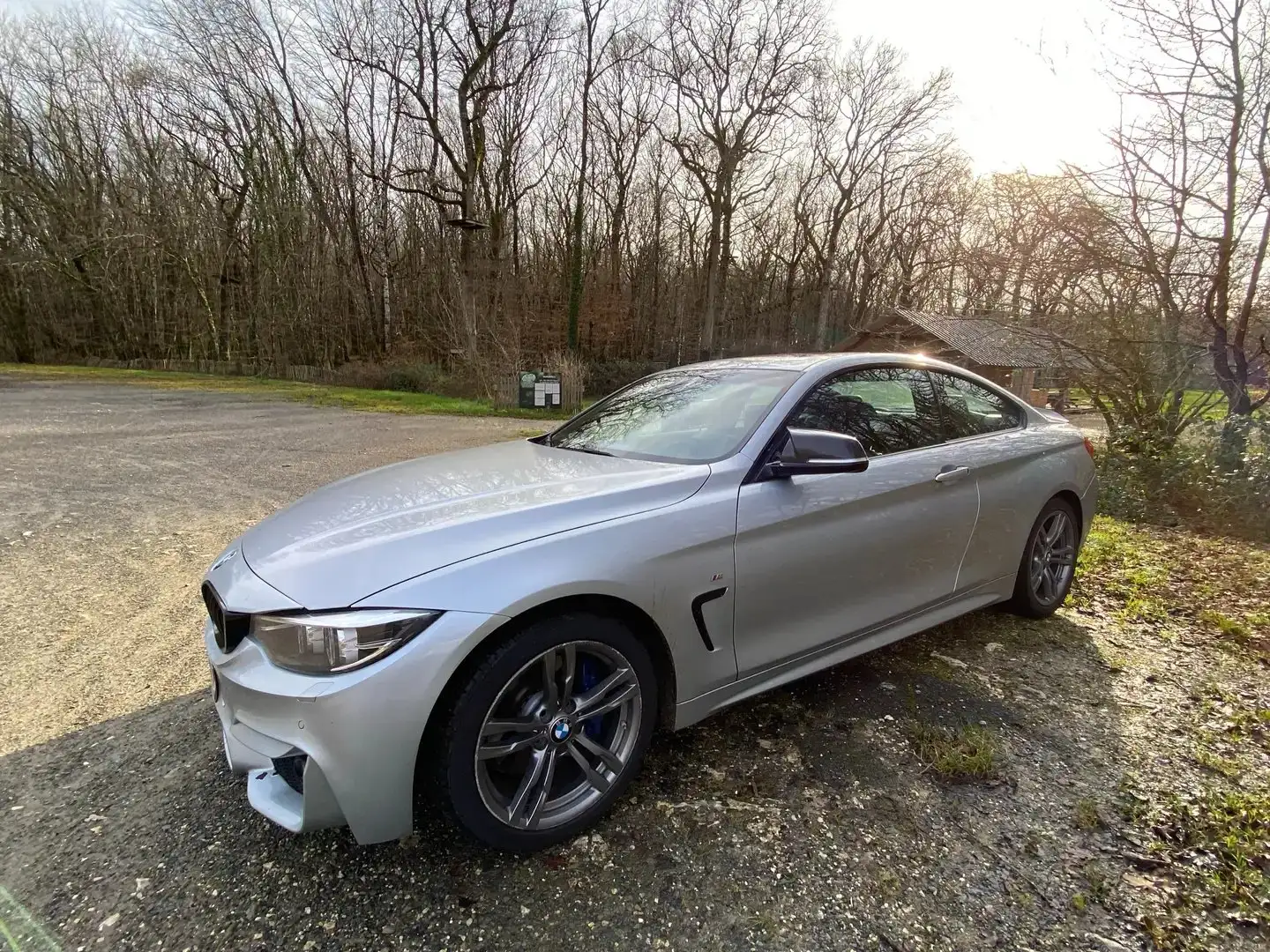 BMW 420 420dA Coupé Stříbrná - 1