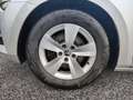 Skoda Superb Combi 2.0 TDI Ambition Silber - thumbnail 10