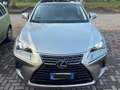 Lexus NX 300 NX I 2018 300h 2.5 Luxury 4wd cvt Gris - thumbnail 3