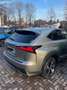 Lexus NX 300 NX I 2018 300h 2.5 Luxury 4wd cvt Gris - thumbnail 2
