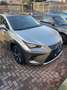 Lexus NX 300 NX I 2018 300h 2.5 Luxury 4wd cvt Gris - thumbnail 1