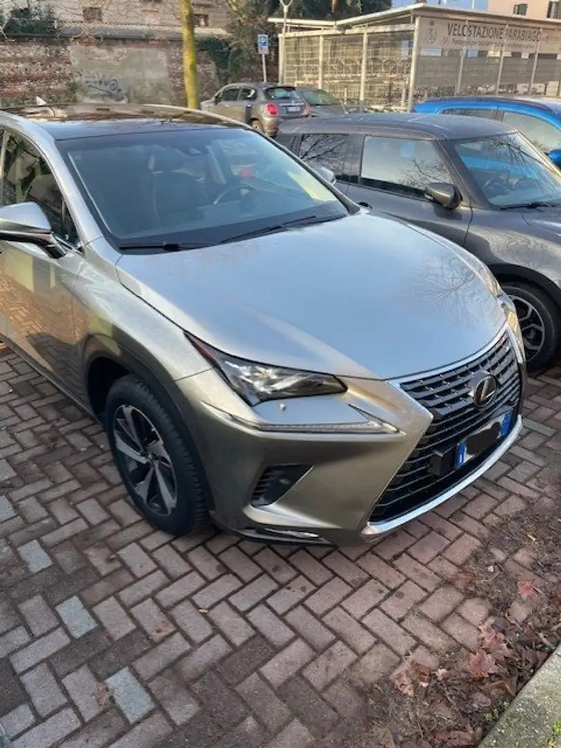 Lexus NX 300 NX I 2018 300h 2.5 Luxury 4wd cvt Gris - 1