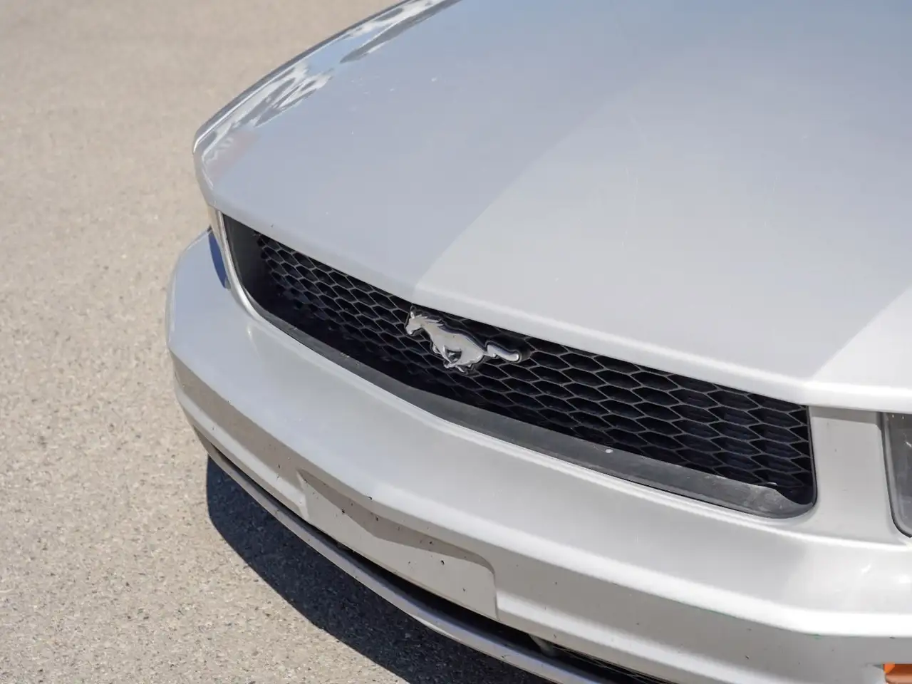 Ford Mustang photo Ford Mustang