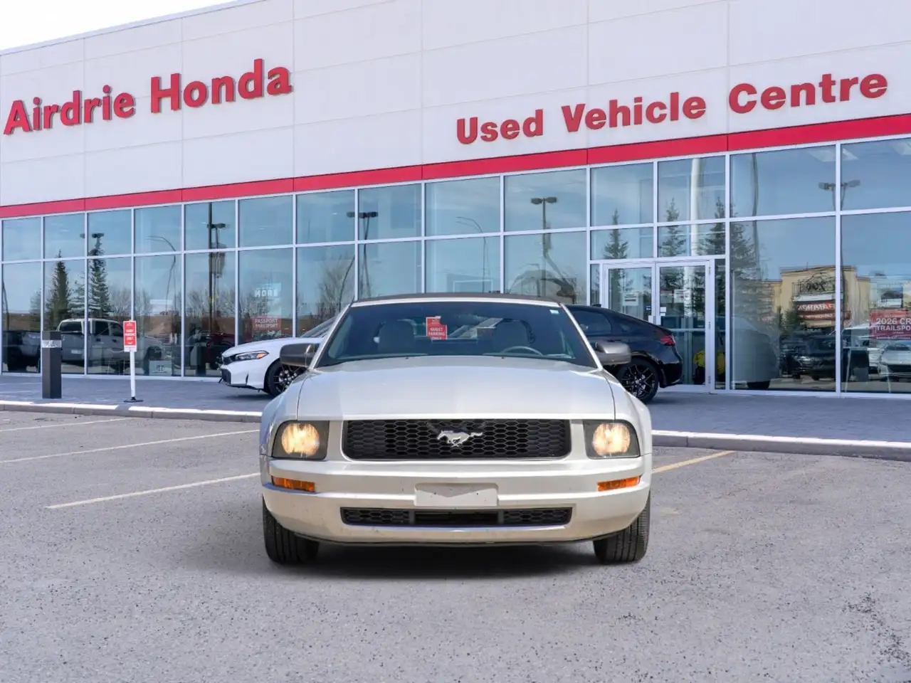 Ford Mustang photo Ford Mustang