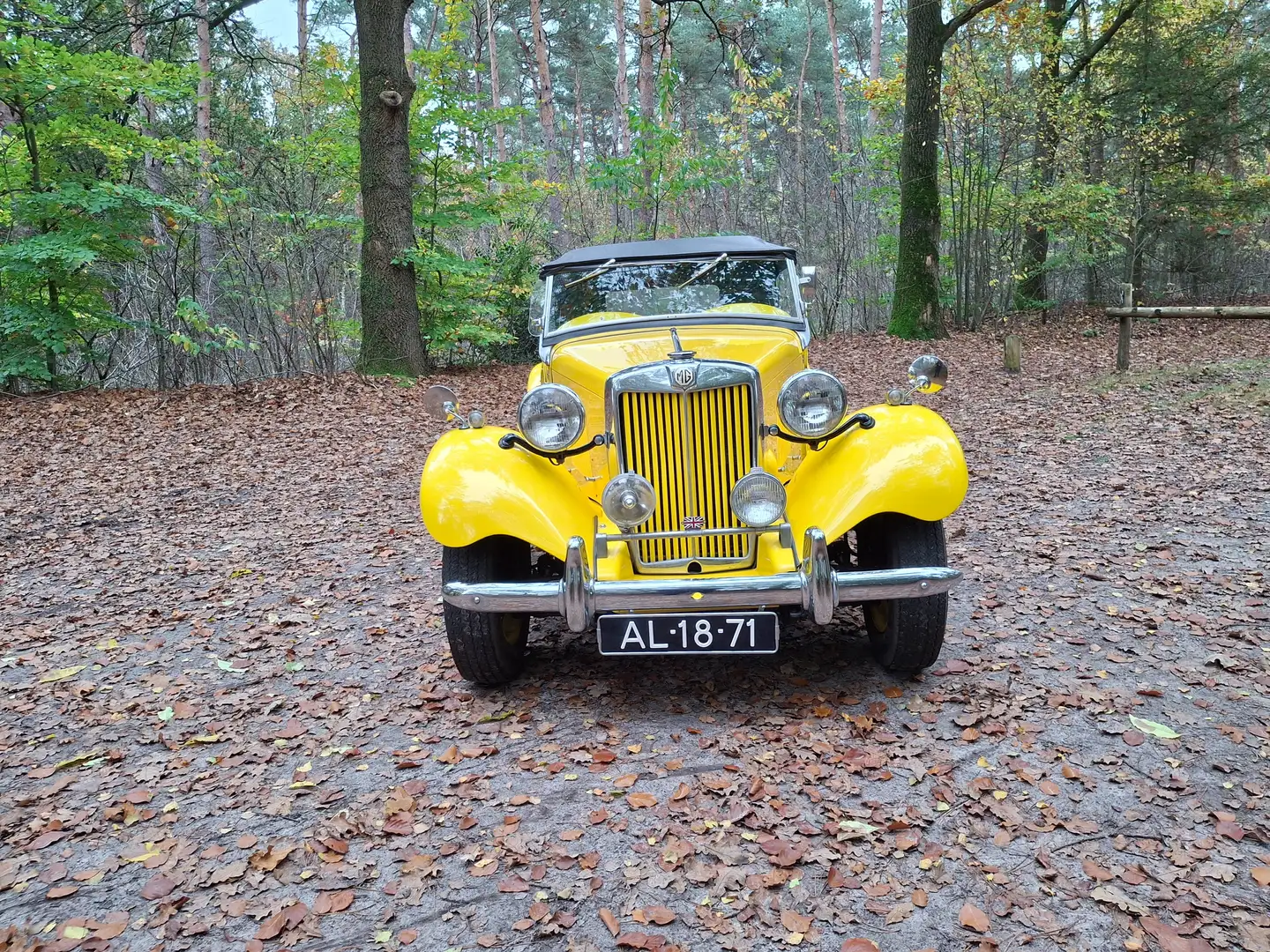 MG TD TD td2 Žlutá - 1