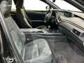 Lexus UX 200 SUV BUSINESS 2.0 Híbrido Gasolina Transmisión Au Nero - thumbnail 6