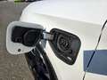 CUPRA Leon 1.4 e-hybrid 204cv dsg TETTO UNICO PROP Bianco - thumbnail 5