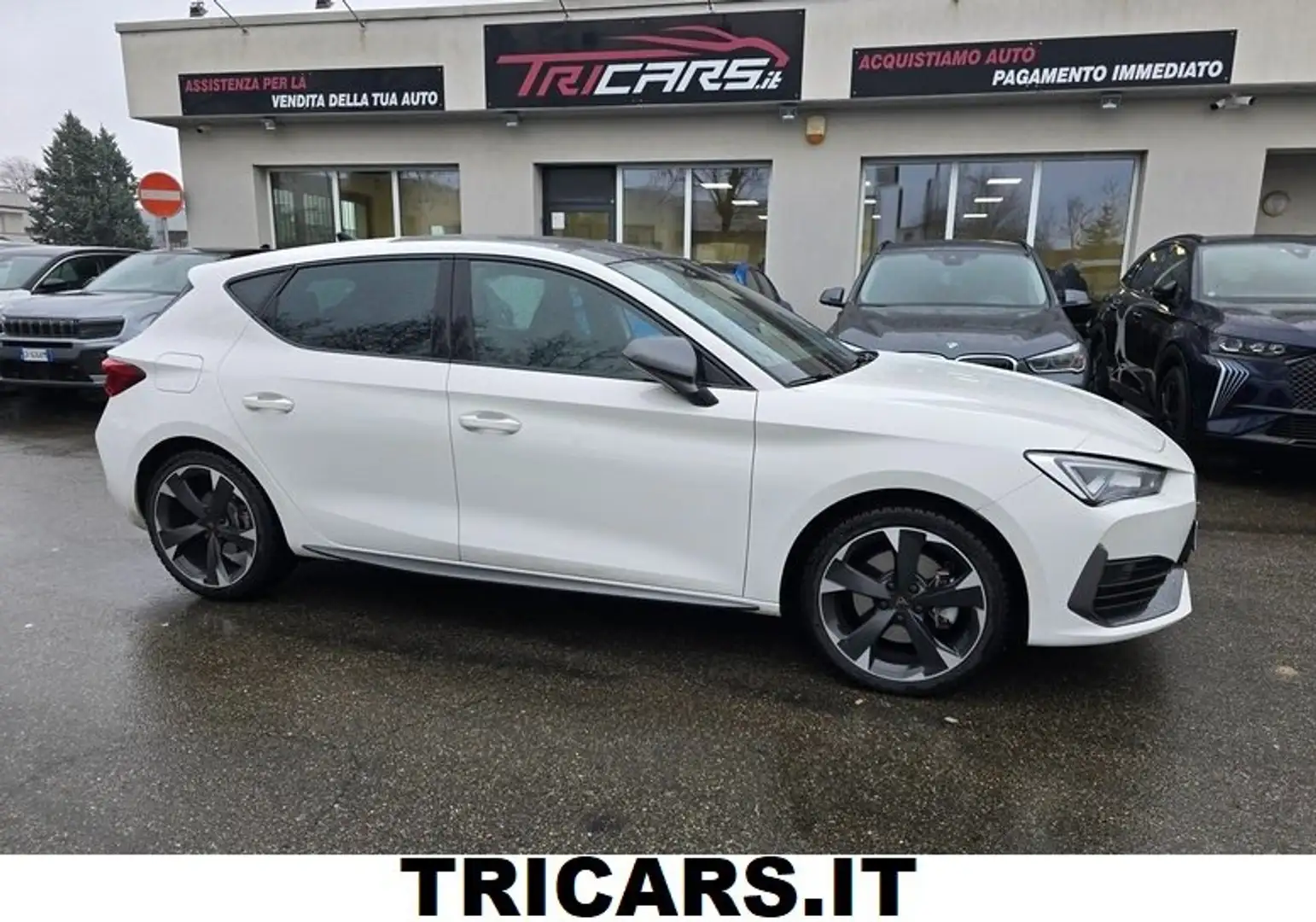 CUPRA Leon 1.4 e-hybrid 204cv dsg TETTO UNICO PROP Bianco - 1