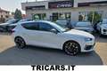 CUPRA Leon 1.4 e-hybrid 204cv dsg TETTO UNICO PROP Bianco - thumbnail 1