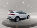 CUPRA Formentor 1.5 TSI ACC Fernlichtass. Kam. KeyLess Weiß - thumbnail 5