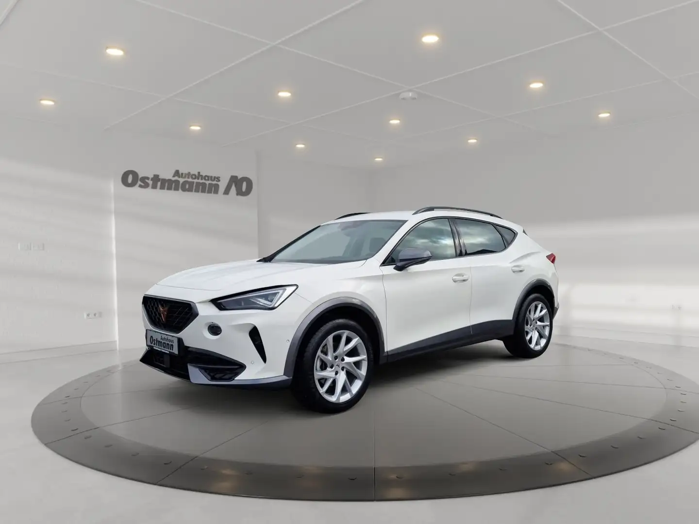 CUPRA Formentor 1.5 TSI ACC Fernlichtass. Kam. KeyLess Weiß - 2