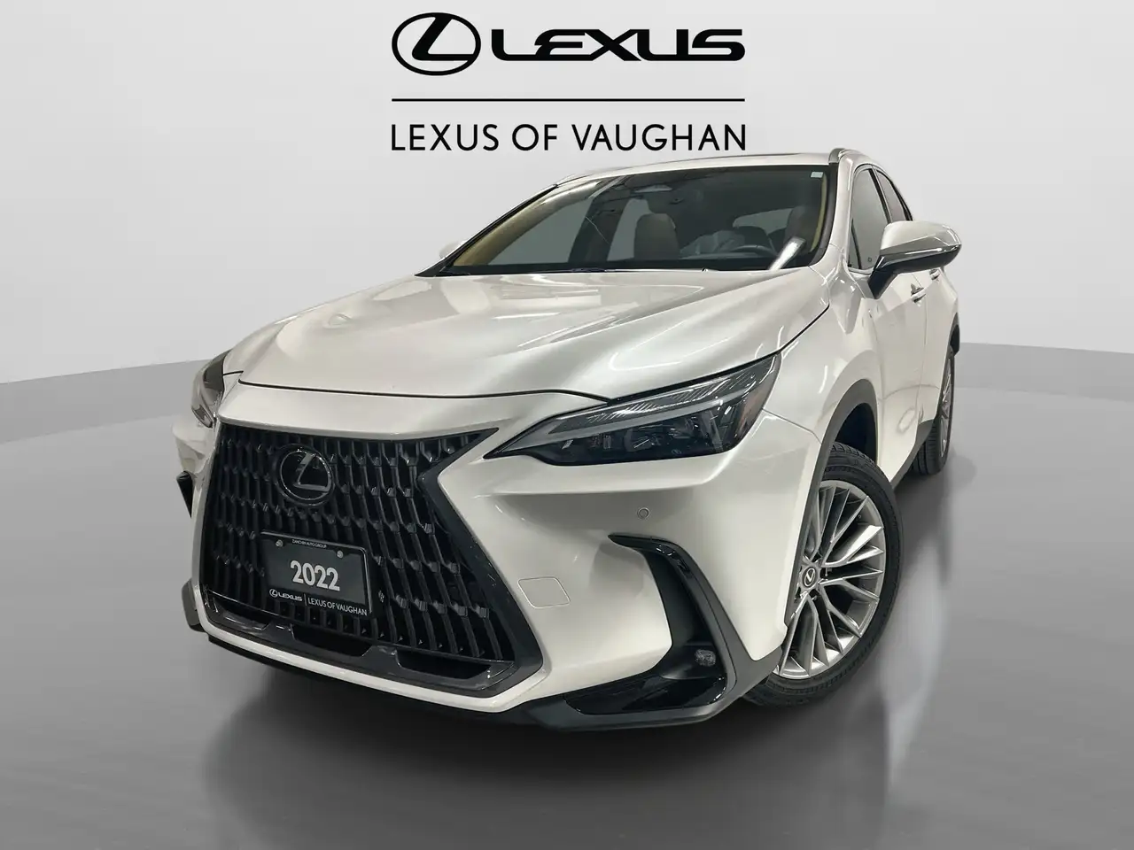 2022 Lexus NX