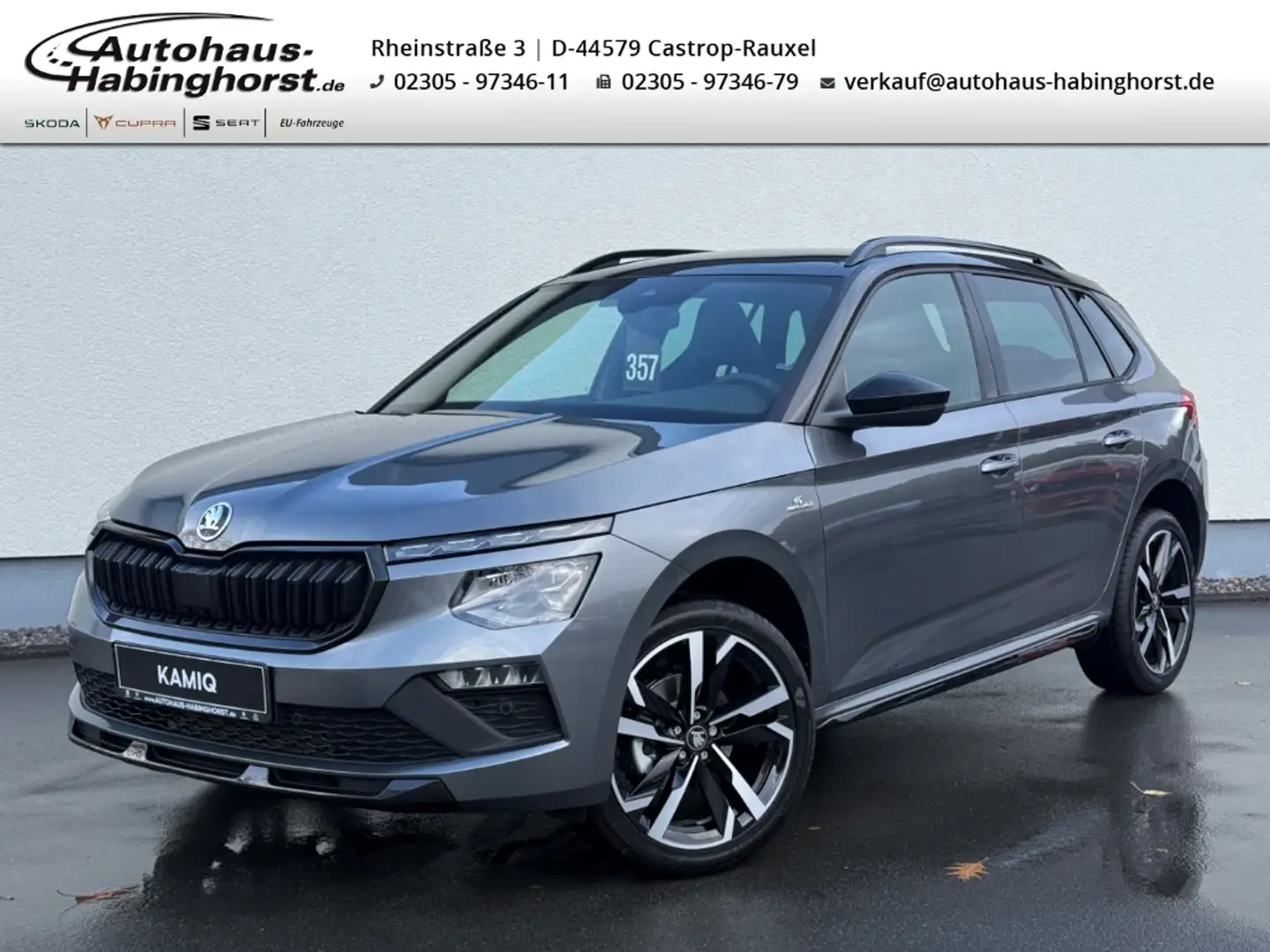 Skoda Kamiq 1.5 TSI DSG Monte Carlo AHK PDC Pano Shz Klima Grau - 1