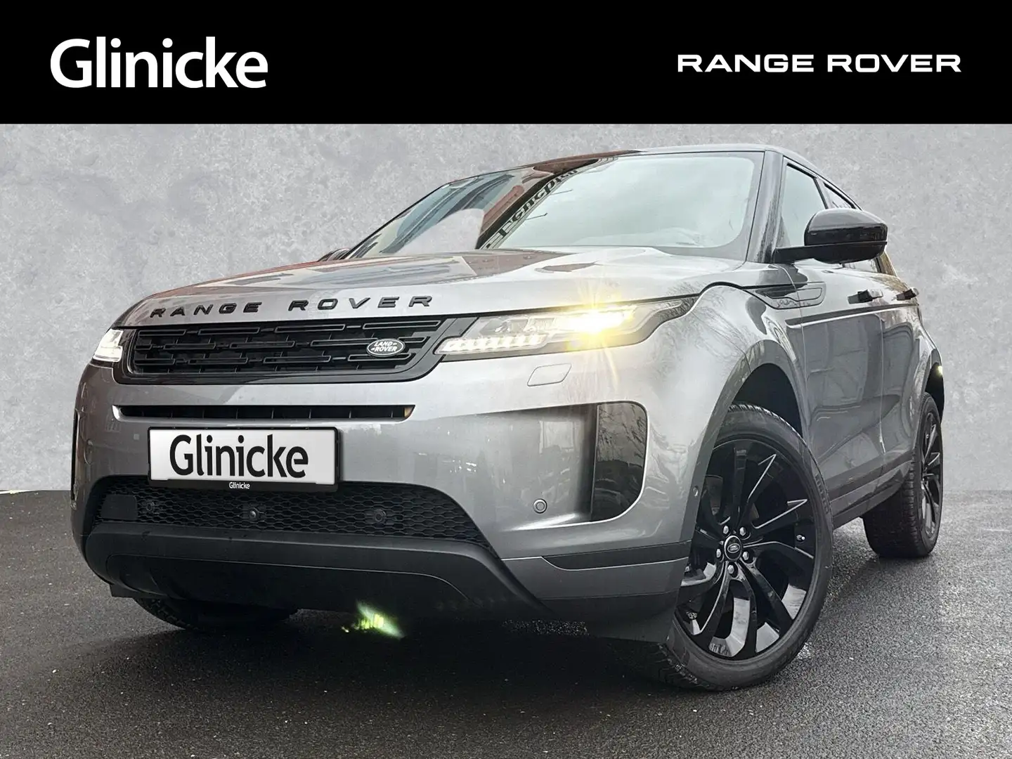 Land Rover Range Rover Evoque D200 S / Black Pack / Winter Grau - 1