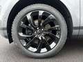 Land Rover Range Rover Evoque D200 S / Black Pack / Winter Grau - thumbnail 9