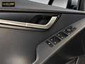 Kia Niro 1.6 PHEV Concept 183 Verde - thumbnail 29