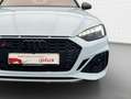 Audi RS5 competition+*EUPE 128.855*Pano*29 Bleu - thumbnail 12