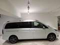 Mercedes-Benz V 250 CDI Edition 4MATIC lang Weiß - thumbnail 4