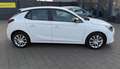 Opel Corsa Edition Klima Einparkhilfe Weiß - thumbnail 9