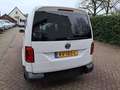 Volkswagen Caddy Maxi 1.4 TGI 8950.- EX BTW ROLSTOELVERVOER 5-PERSO Wit - thumbnail 7