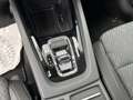 Skoda Octavia Combi Premium 2.0 TDI Aut. Blau - thumbnail 11