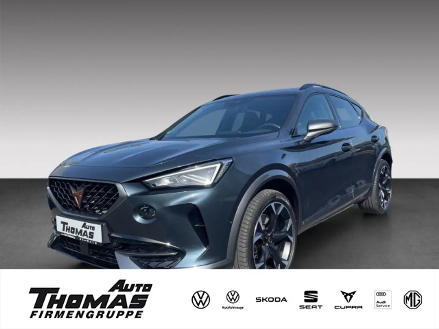 CUPRA Formentor VZ 4DRIVE 2.0 TSI DSG PANO Grau - 1