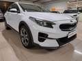 Kia XCeed 1.6 crdi Style Techno Pack 115cv Bianco - thumbnail 3