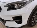 Kia XCeed 1.6 crdi Style Techno Pack 115cv Bianco - thumbnail 5