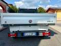 Fiat Doblo Doblò 1.6 MJT 120CV Cassonato Work-Up Bianco - thumbnail 5