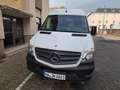 Mercedes-Benz Sprinter 316 CDI (BlueTec) Sprinter 906.631 Weiß - thumbnail 1