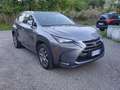 Lexus NX 300h Grigio - thumbnail 9