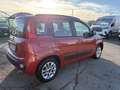 Fiat New Panda Lounge 1.2 - thumbnail 5