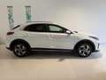 Kia XCeed 1.6 T-GDI 7DCT 150 City 110 kW (150 PS) Lenkrad... Weiß - thumbnail 4