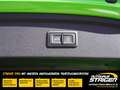 Audi RS3 Sportback 2.5TFSI+Bang&Olufsen+Panorama+ Vert - thumbnail 18