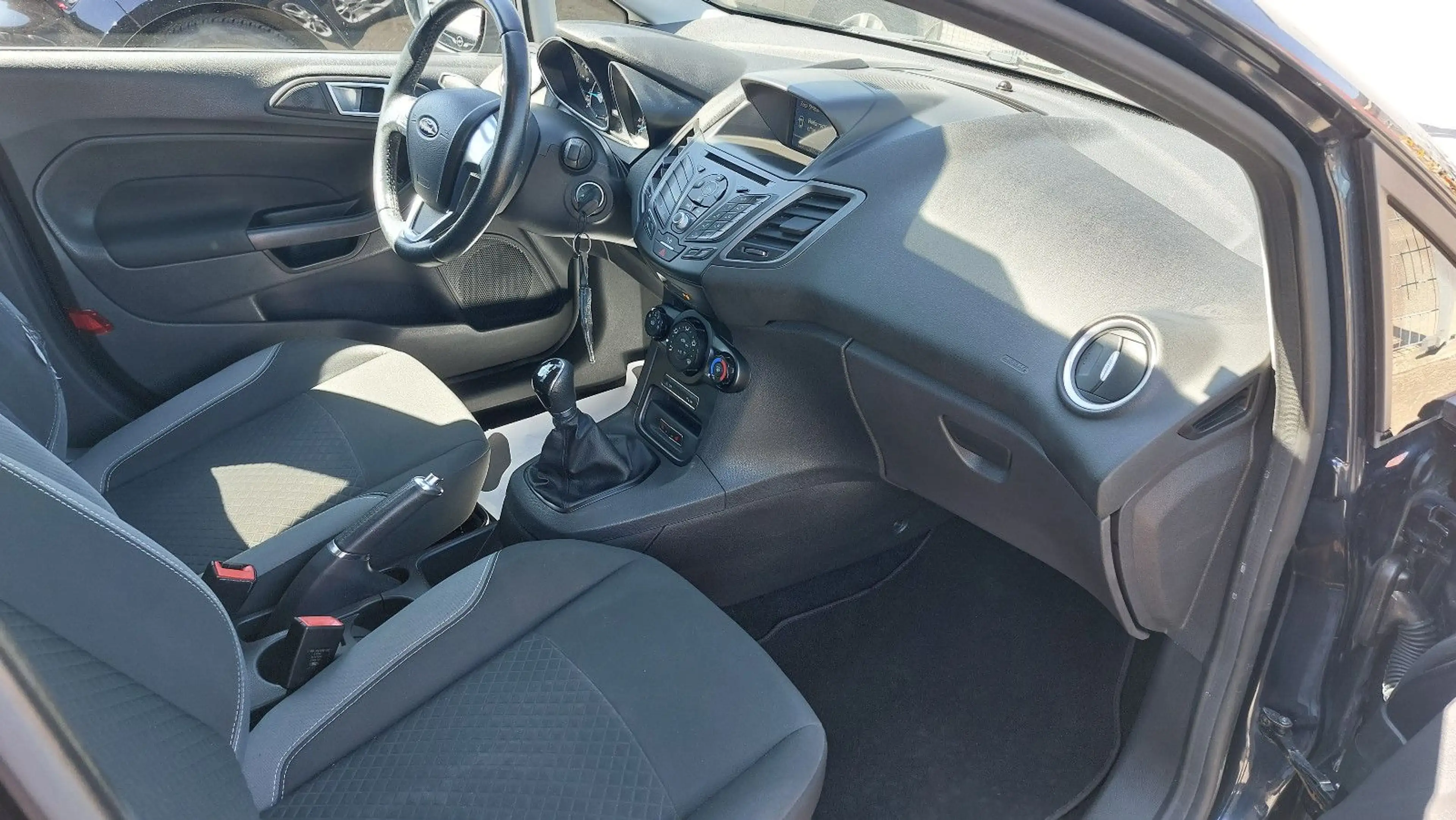 Ford Fiesta Celebration — photo 11