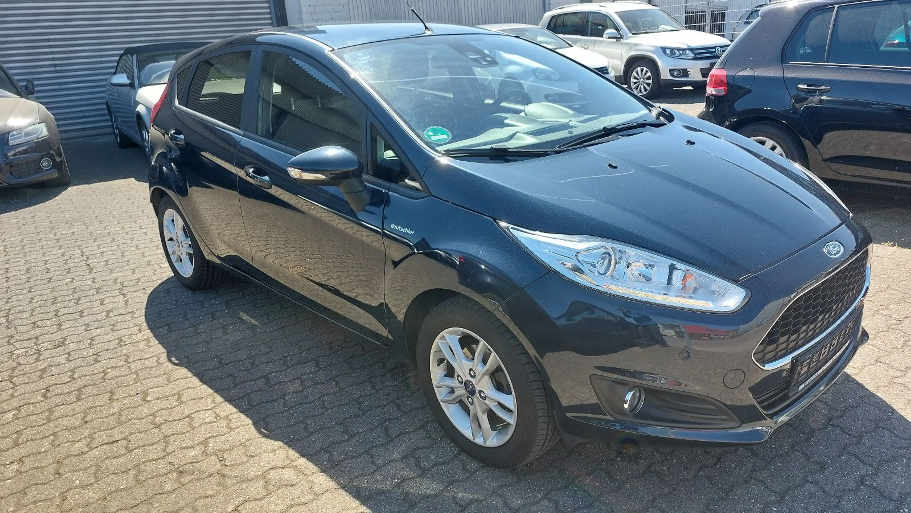 Ford Fiesta Celebration — photo 3