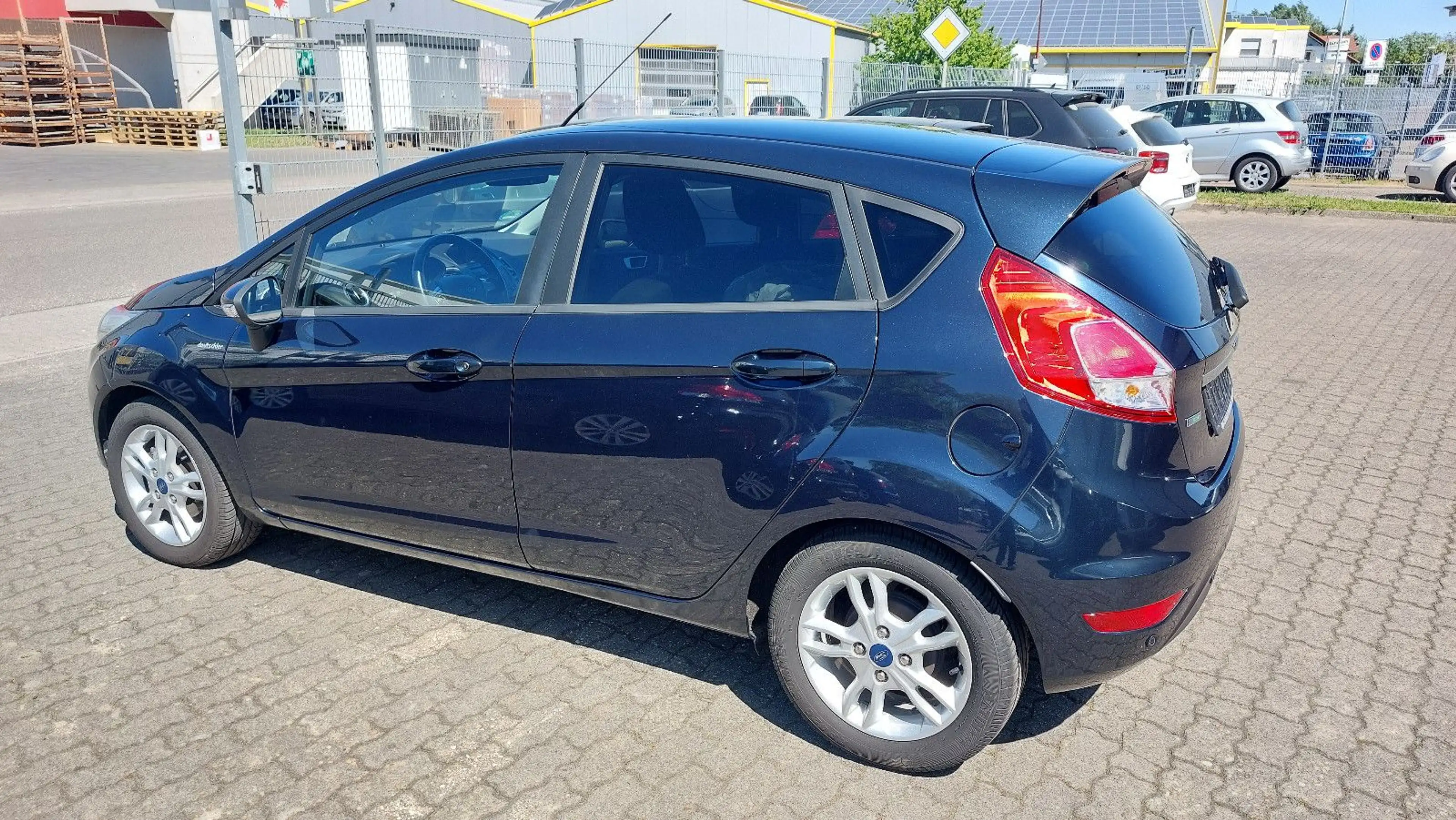 Ford Fiesta Celebration — photo 6