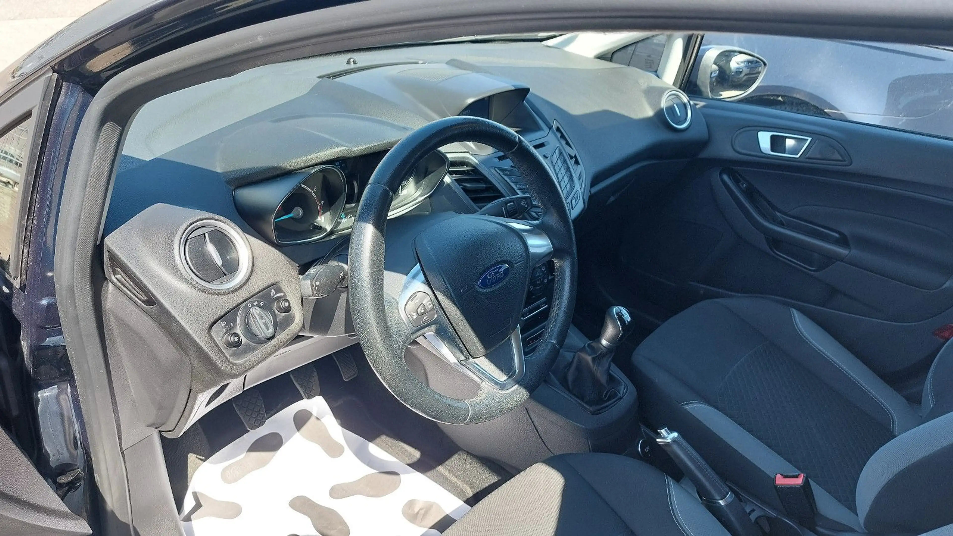 Ford Fiesta Celebration — photo 9
