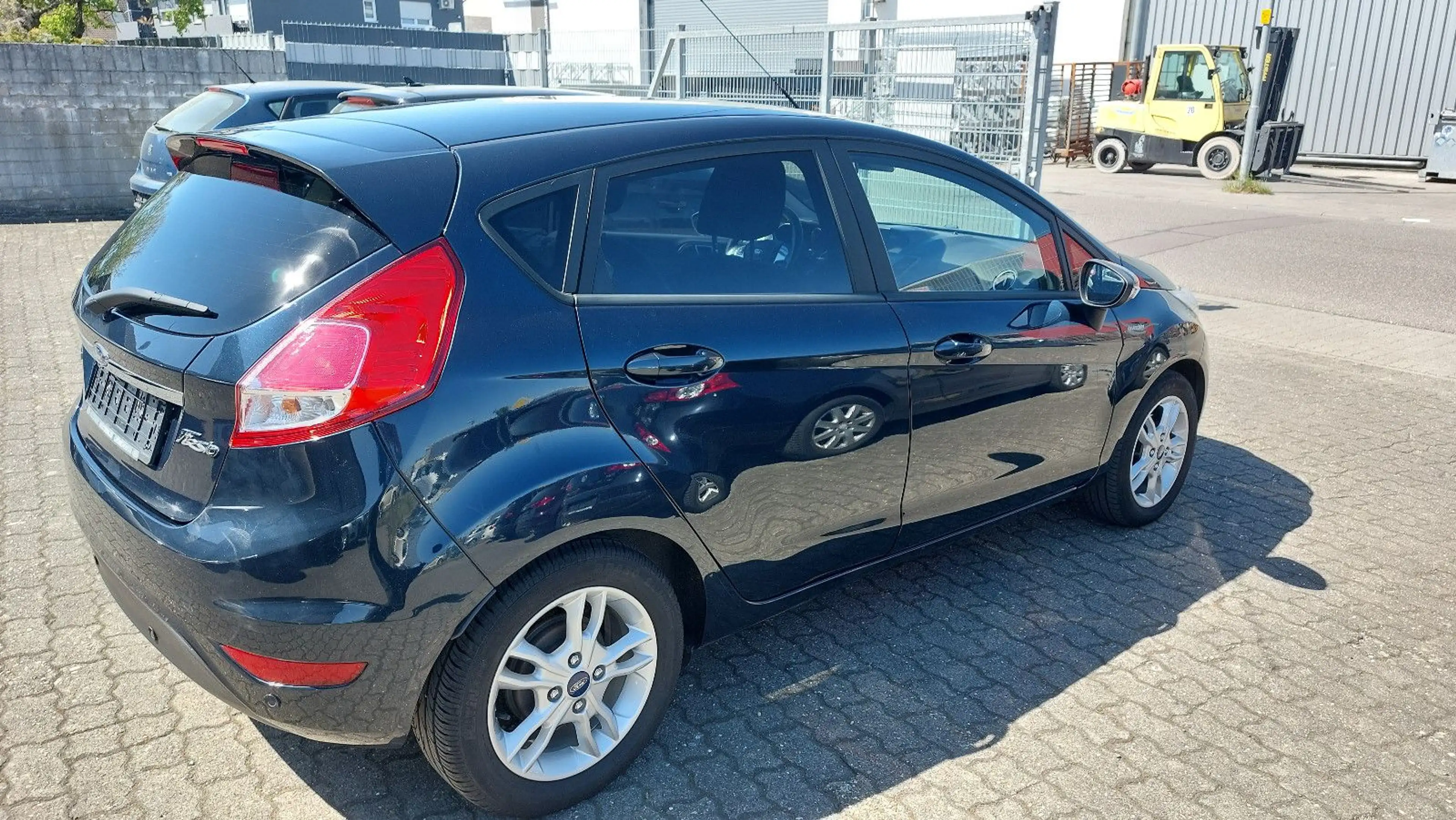 Ford Fiesta Celebration — photo 8