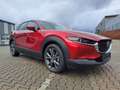 Mazda CX-30 SKYACTIV-X 2.0 M HYBRID Rot - thumbnail 1