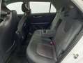 Kia Niro 1.6 GDI PHEV 135KW (183CV) CONCEPT Blanco - thumbnail 25